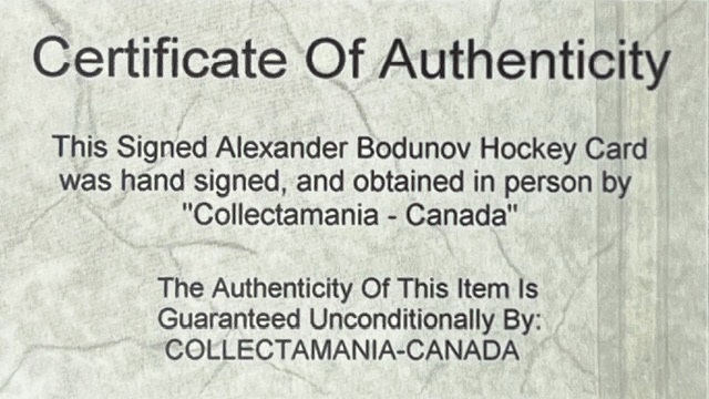 FTBodunovCert1