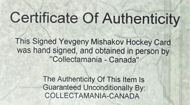 FTMishakovCert1